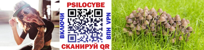 сайты даркнета формула  kraken ССЫЛКА  Рославль  дарнет шоп  Псилоцибиновые грибы MAGIC MUSHROOMS 