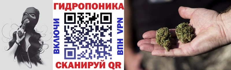 купить закладку  кракен как зайти  Канабис ГИДРОПОН  Рославль 
